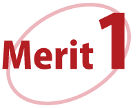merit1