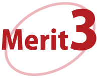 merit3